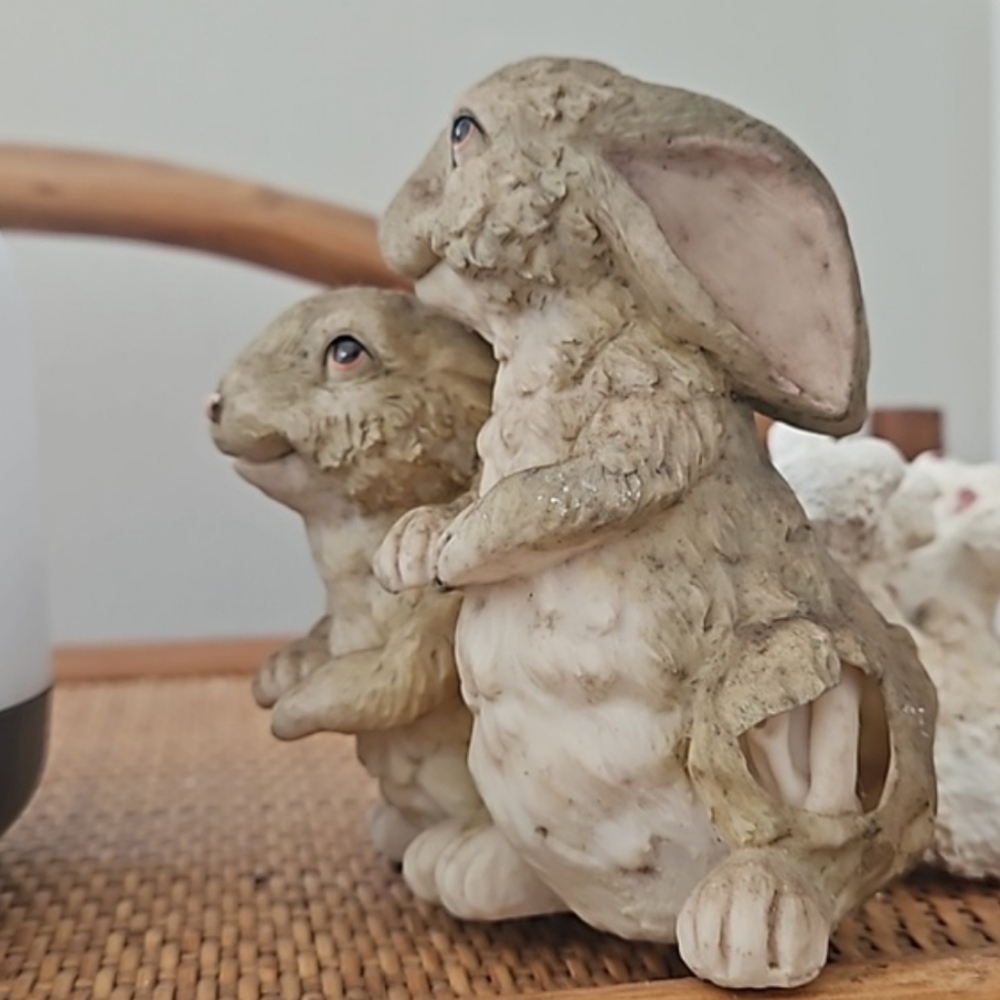 VRARE Vtg connected rabbits with Oryctolagus cuniculus - showing bone